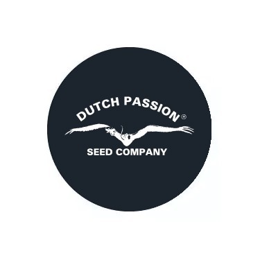 Dutch Passion Auto Seeds